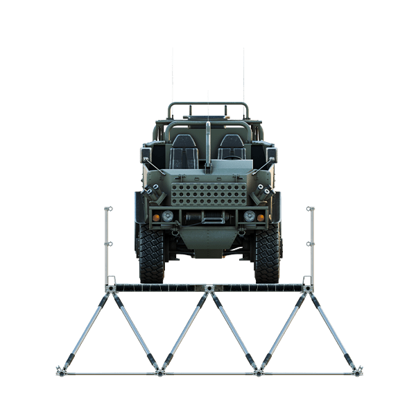 jackal coyote